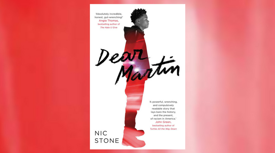 dear martin the book