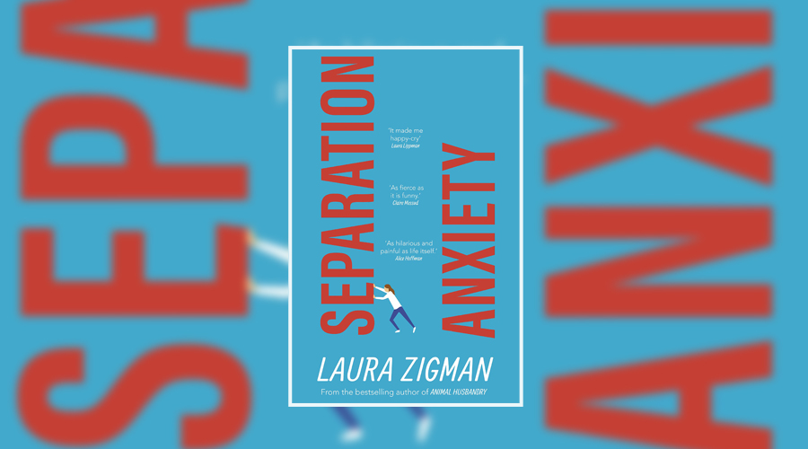 Book Review Separation Anxiety by Laura Zigman Culturefly